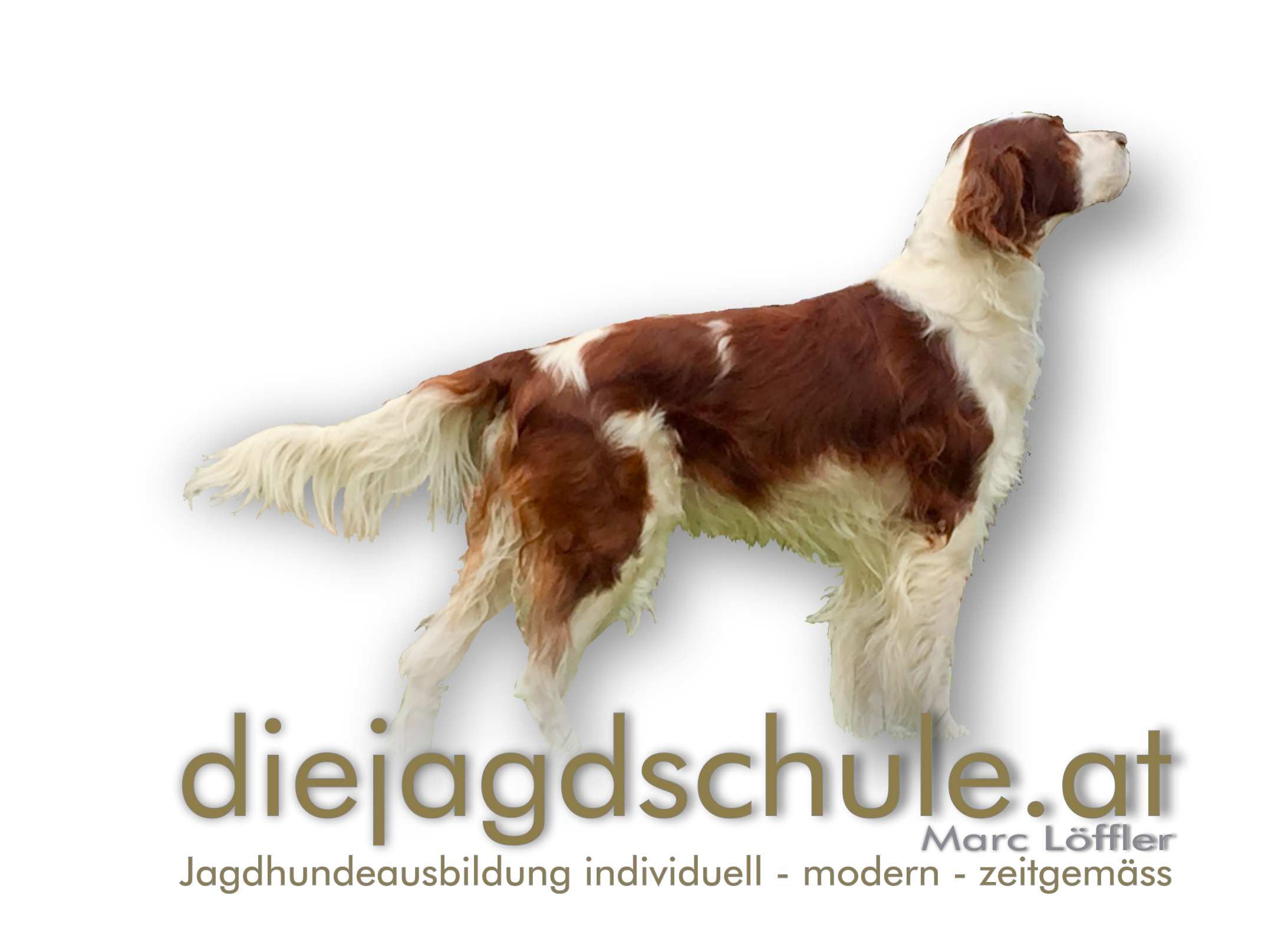 diejagdschule.at