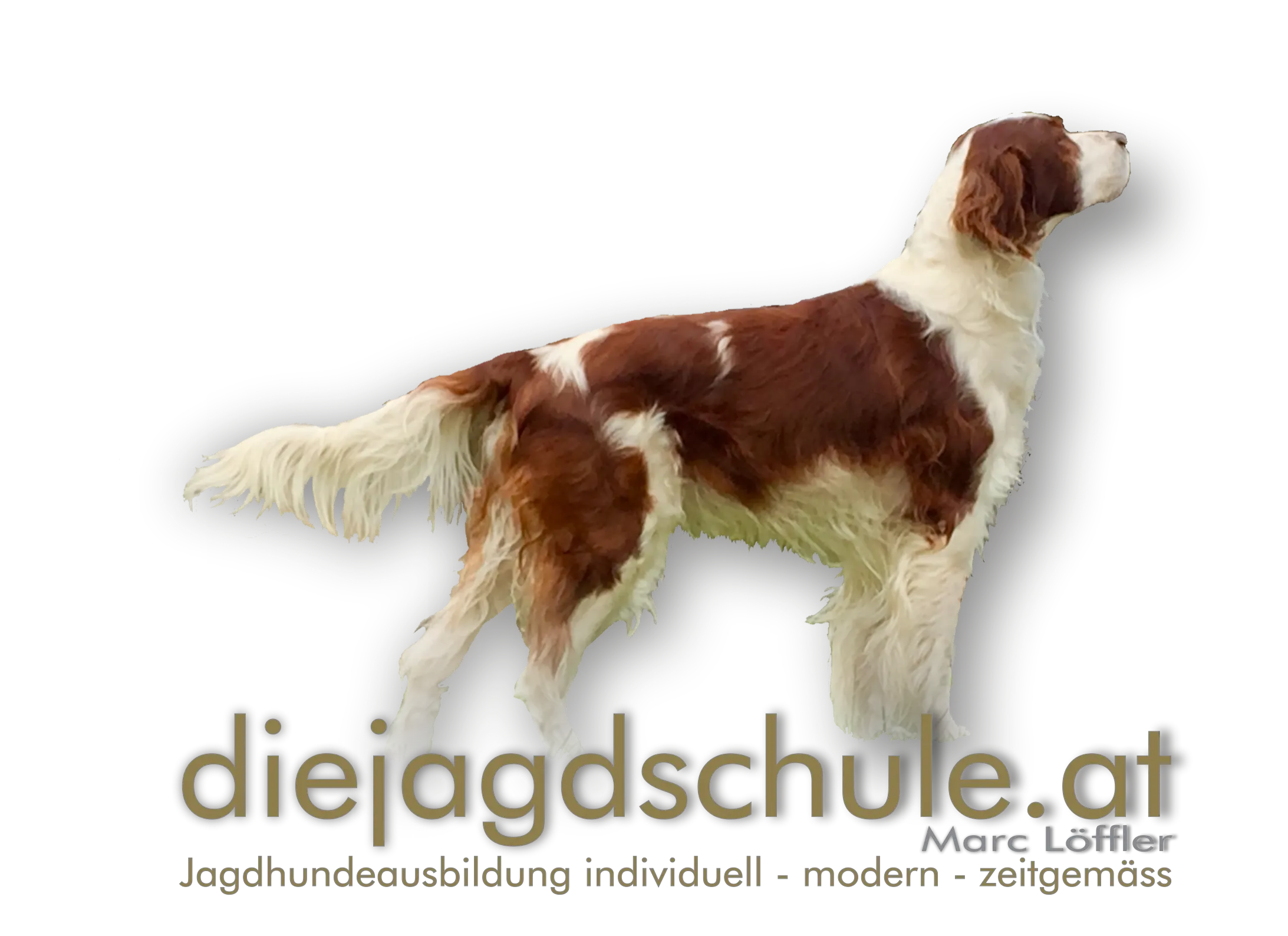 diejagdschule.at