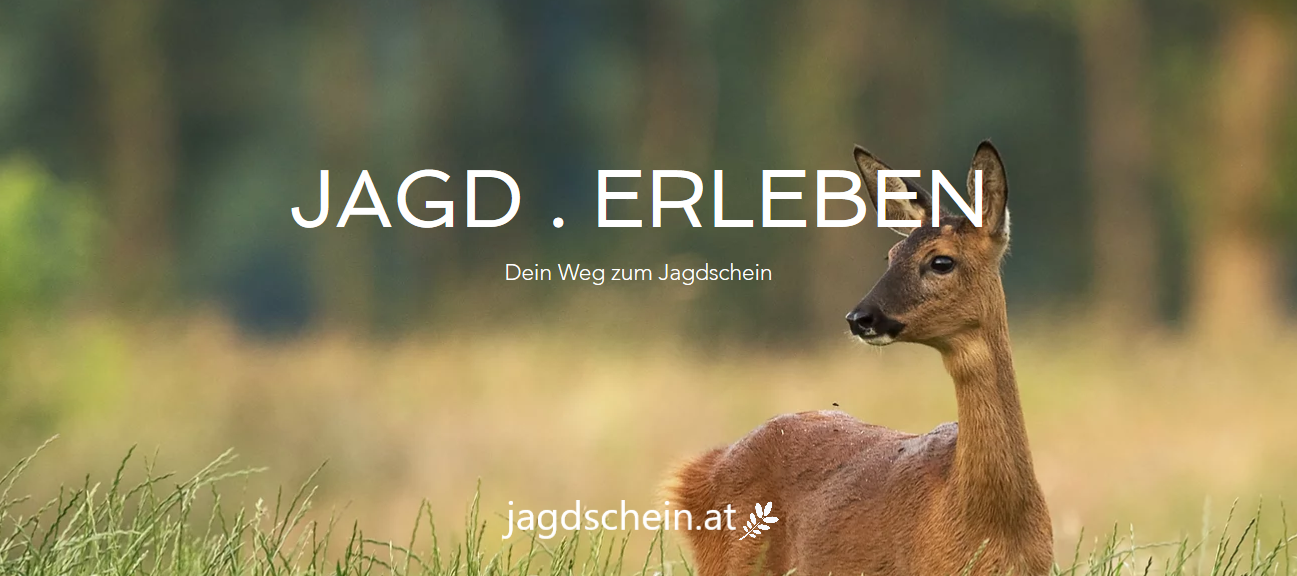 Jagdschein.at