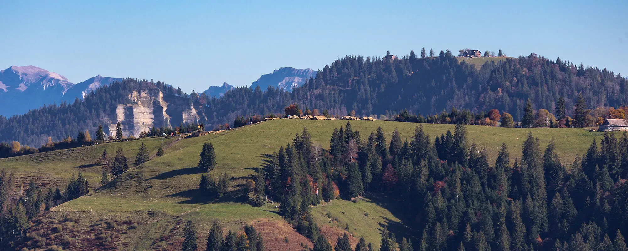 Jagdschule Hinterland
