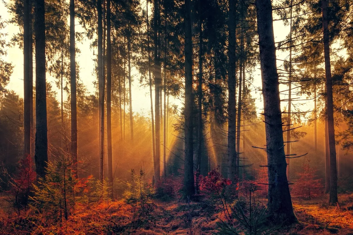 Jägerschaft Duderstadt e.V.