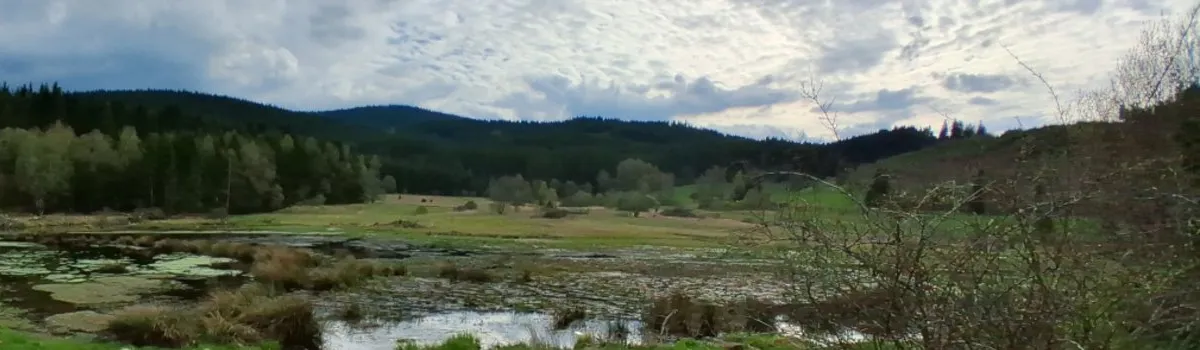 Jägervereinigung Hochschwarzwald e.V.